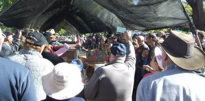 22687_14088515_1164159480292175_7982613525579871792_n 22687_14088515_1164159480292175_7982613525579871792_n