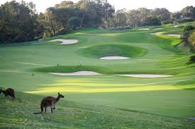 the-western-australian-golf-club