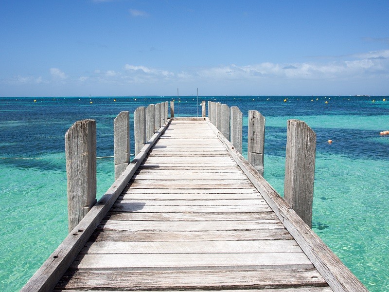 puzzlewalks_seniorcity_rottnest puzzlewalks_seniorcity_rottnest