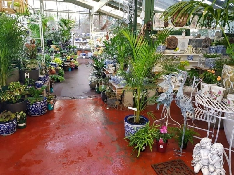 20180603_113058 20180603_113058