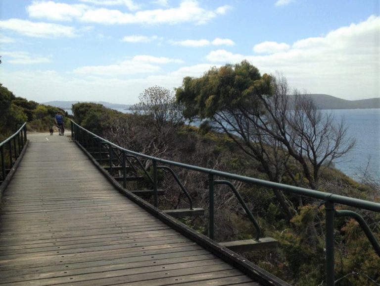 Ellen Cove Boardwalk trail 768x577