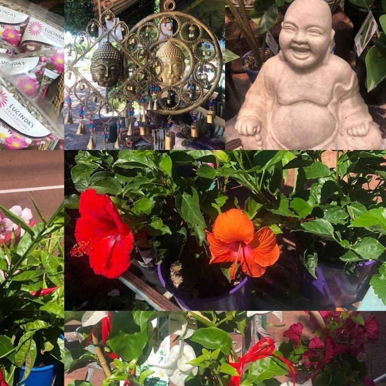 Garden Affair 768x768