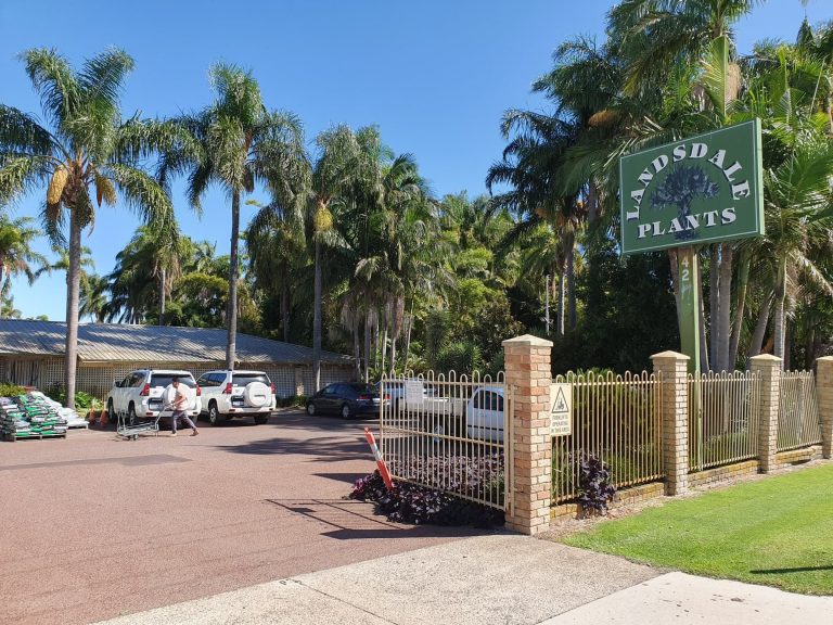 Landsdale plants 768x576