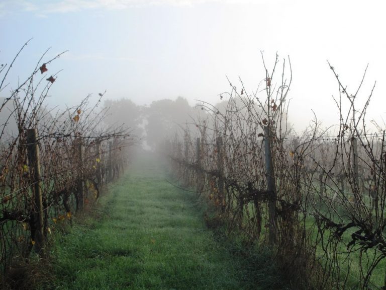Oranje Tractor 768x576
