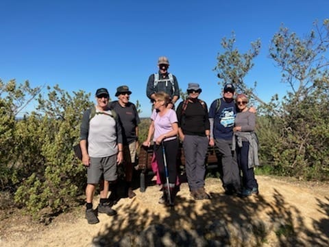 Zamia Trail Bold Park