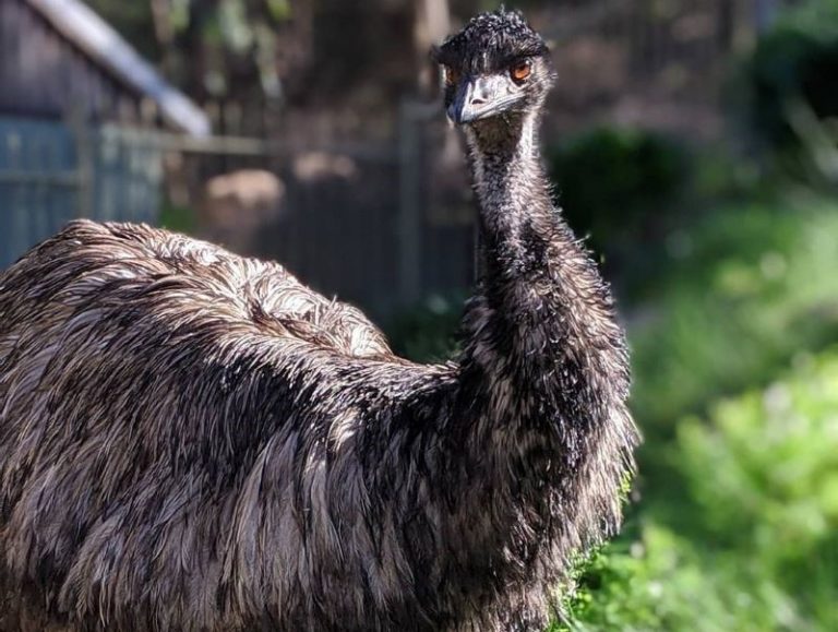 facebook website 5 768x579