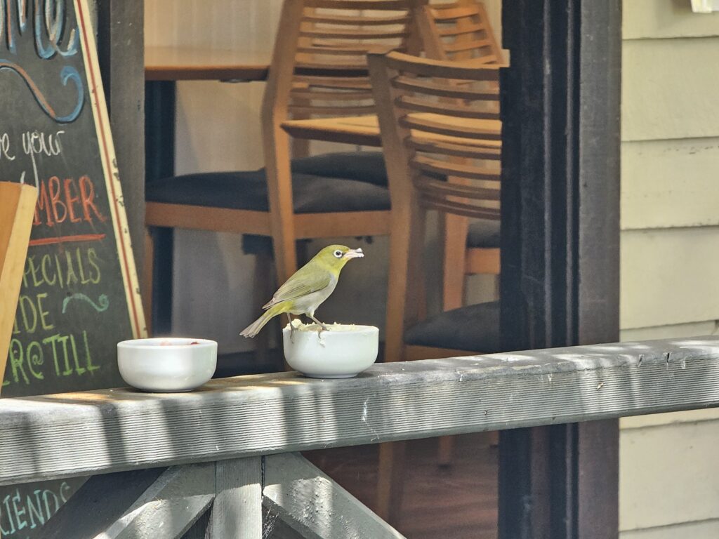 The Berry Farm Margaret River