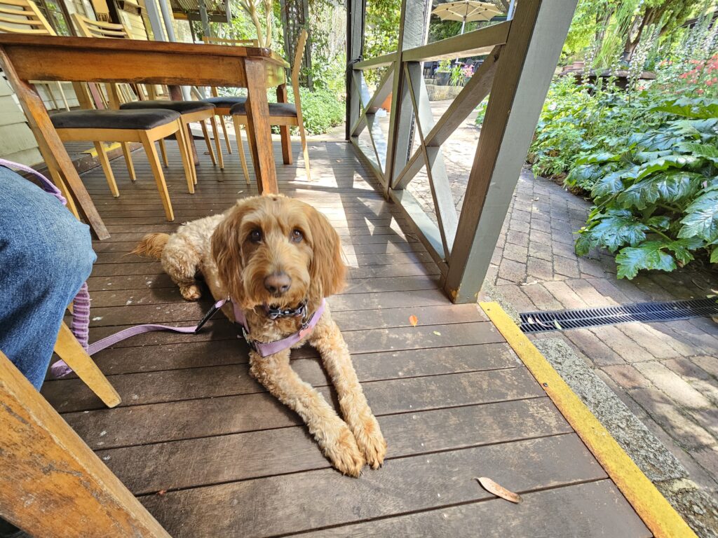 The Berry Farm Margaret River