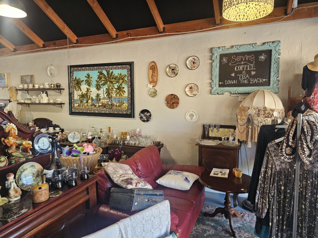 The Ragged Robin Augusta