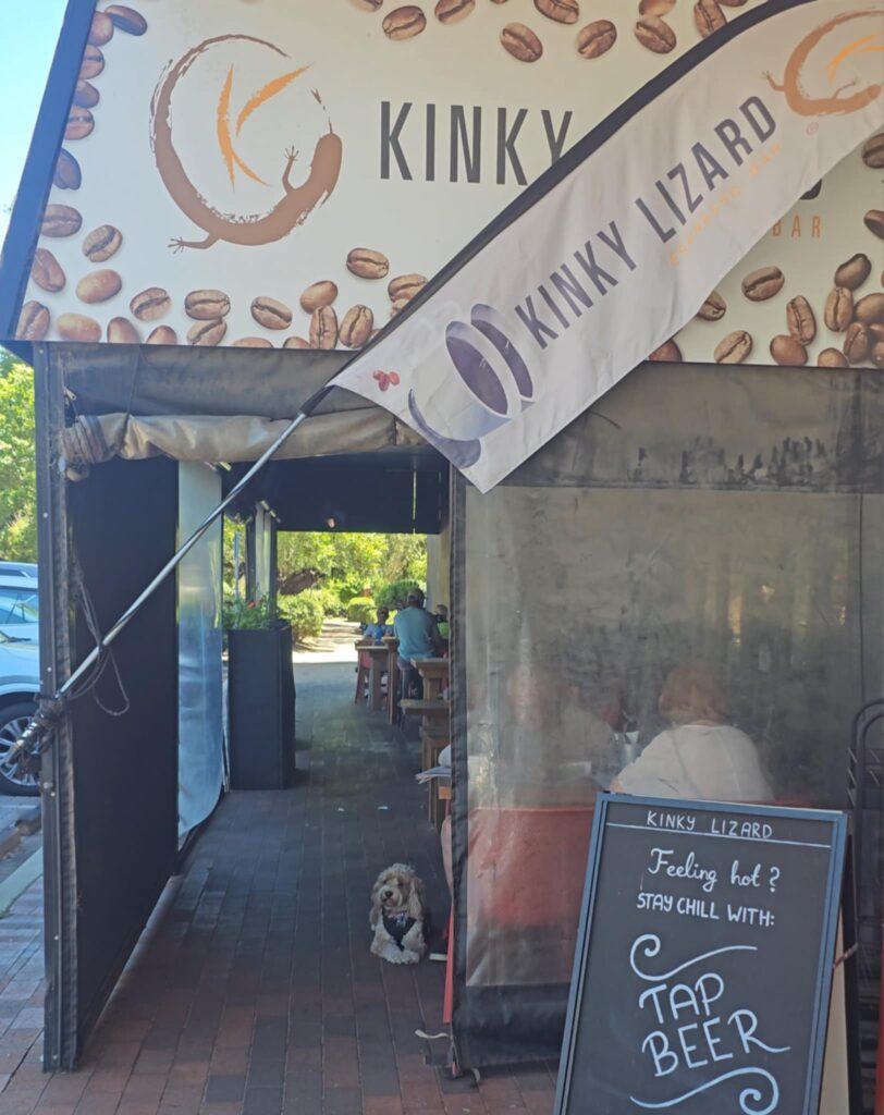 Kinky Lizard Applecross