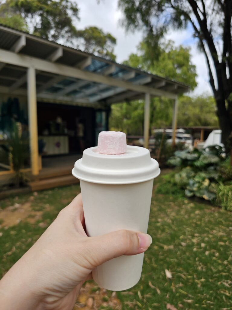 Contained Coffee Augusta