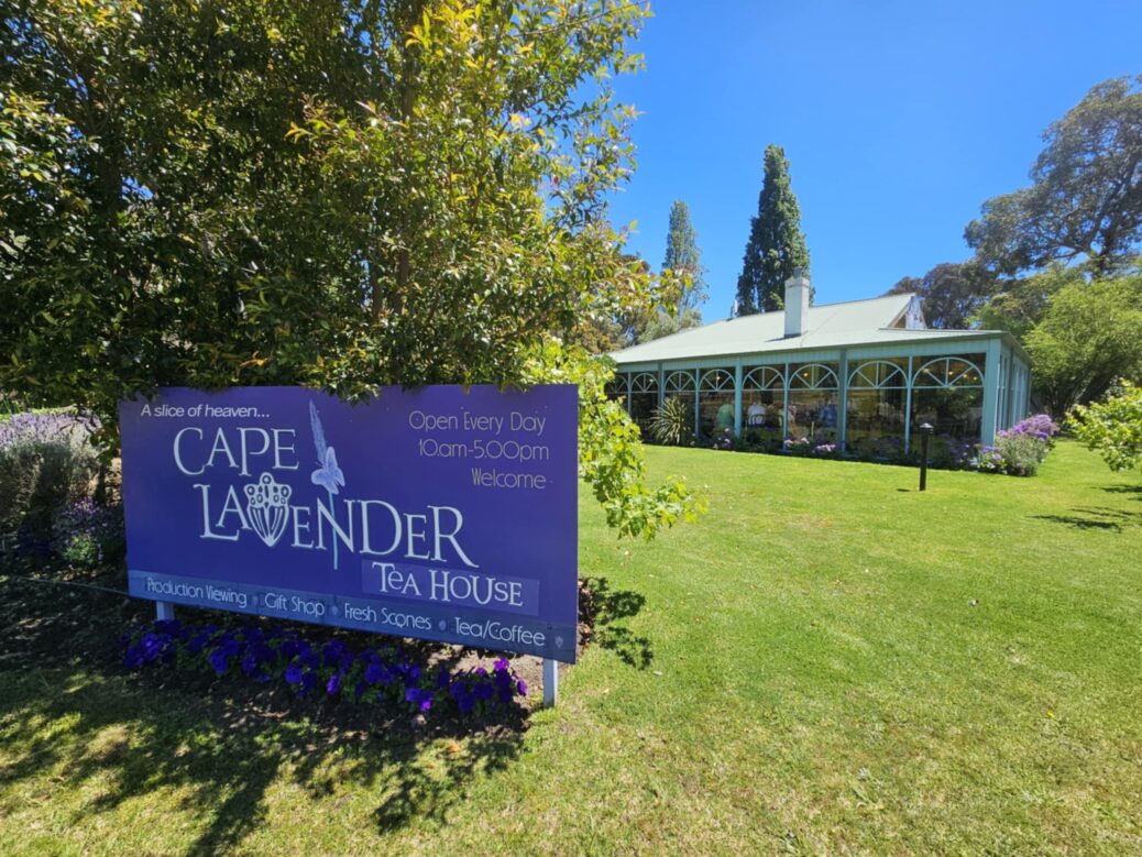 Cape Lavender Tea House Yallingup