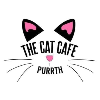 The Cat  Cafe  Perth  Seniorocity the over 55 s guide to Perth 