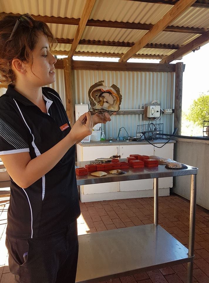 Willie Creek Farm Tour, Broome