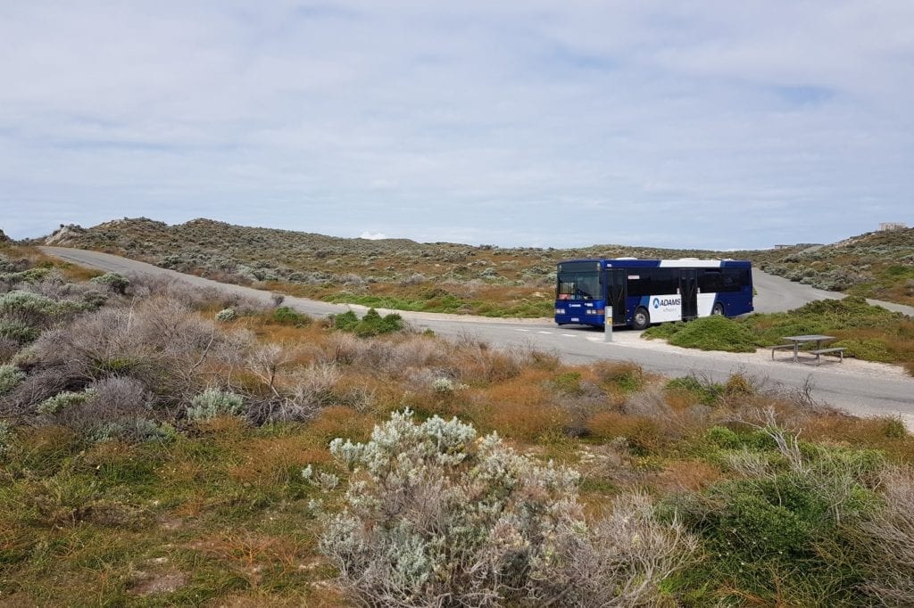 Rottnest Island Explorer Bus Service