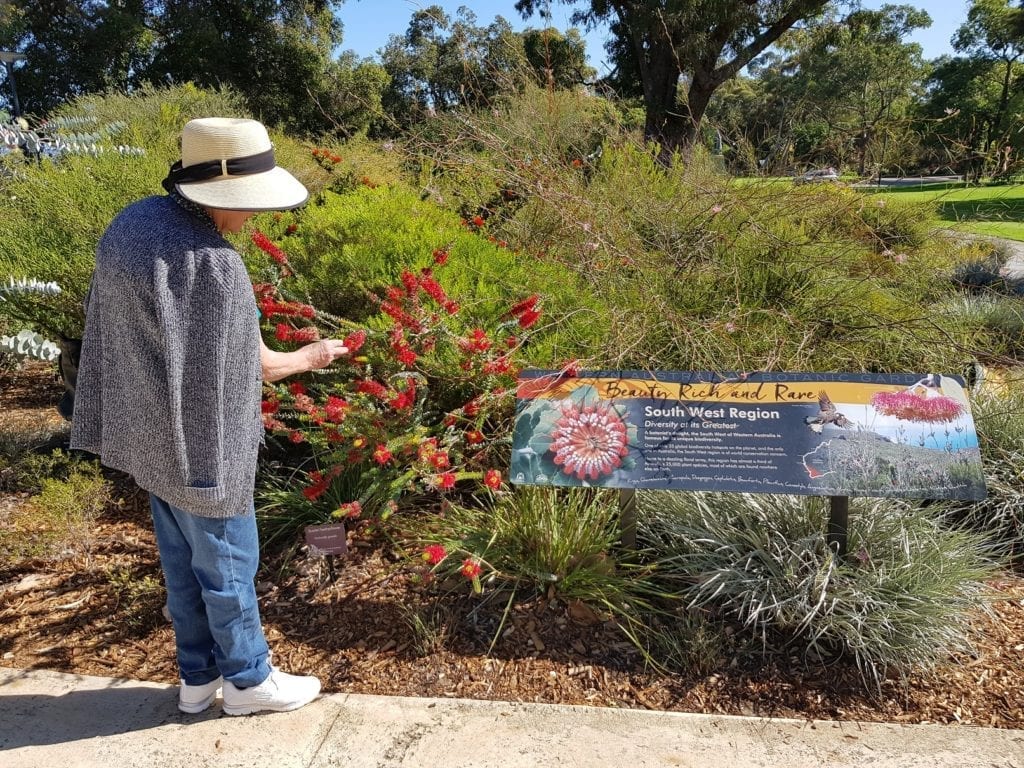 Kings Park, Perth