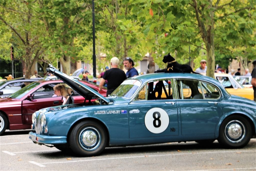 Classic Cars and Coffee