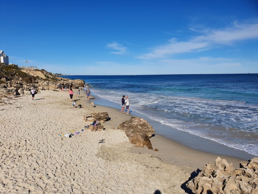 Dog Beaches in Perth