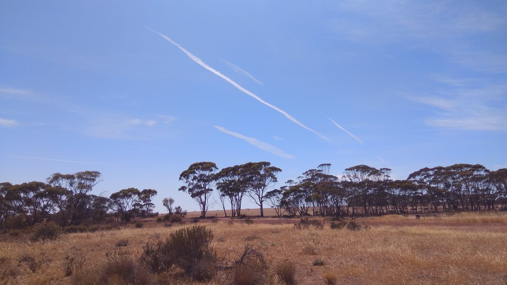 Tin Horse Highway, Kulin