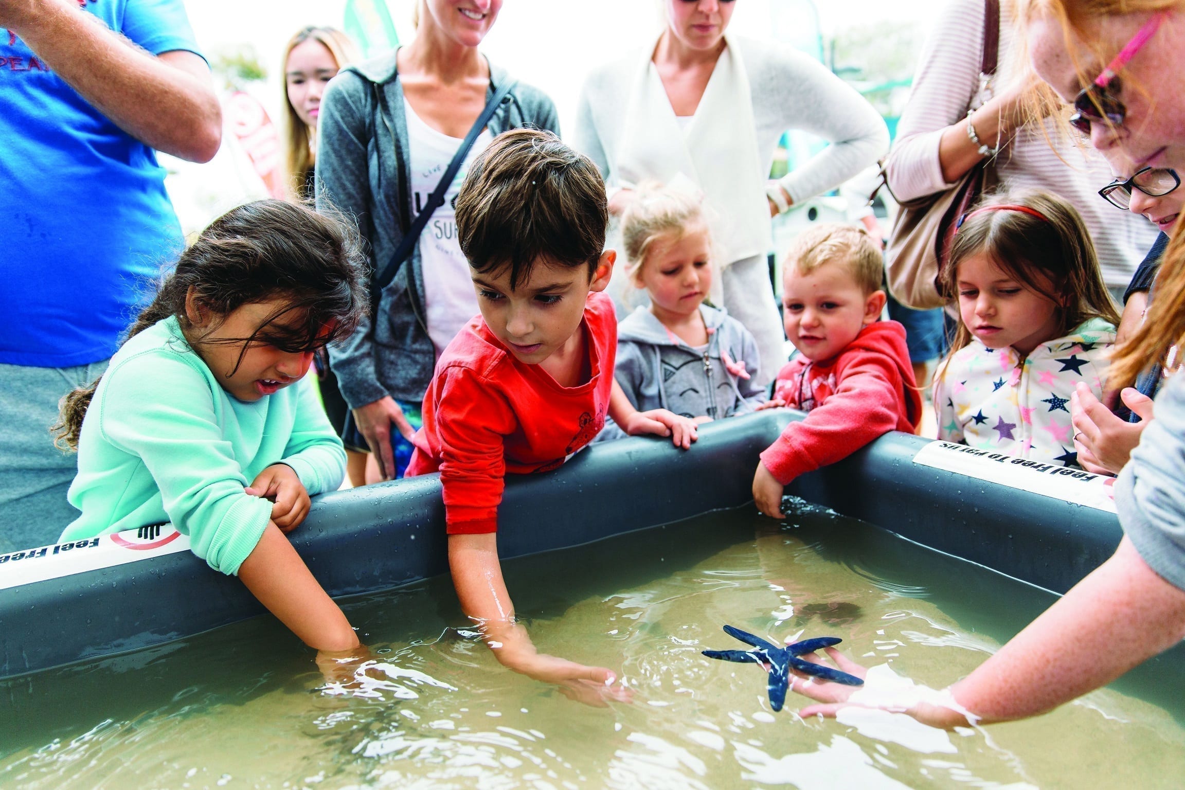 Mandurah Crab Fest