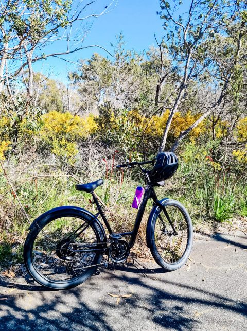 GoGo Active Tours - Kings Park Wildflower Bike Tour.