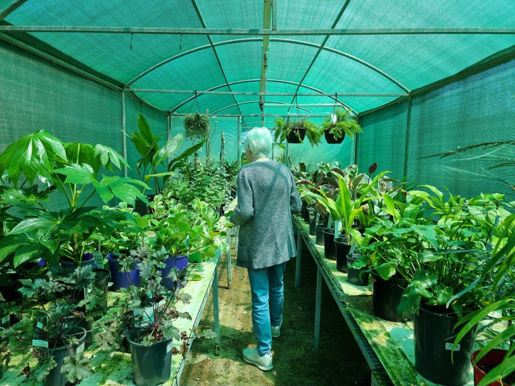 Indoor Plants in Perth