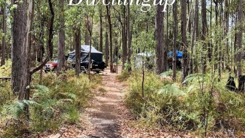 Dwellingup Camping