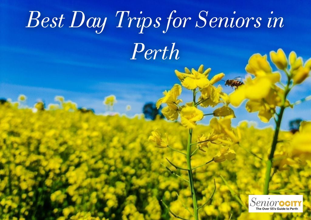 The Best Seniors Day Trips Bus Trips and Outings