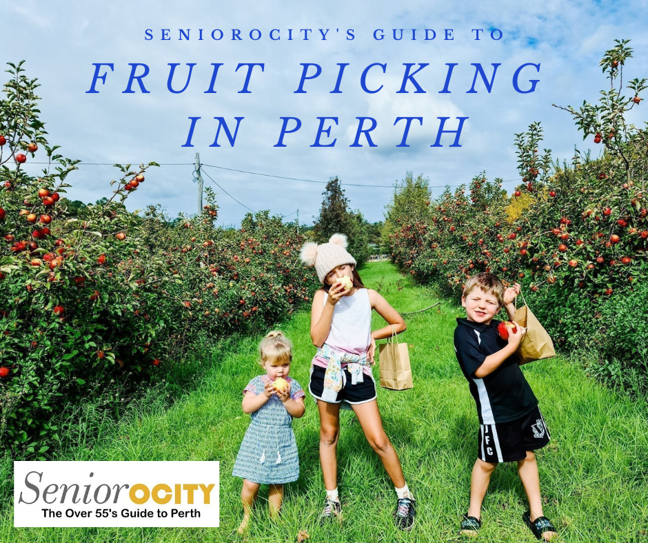 Fruit picking in Perth