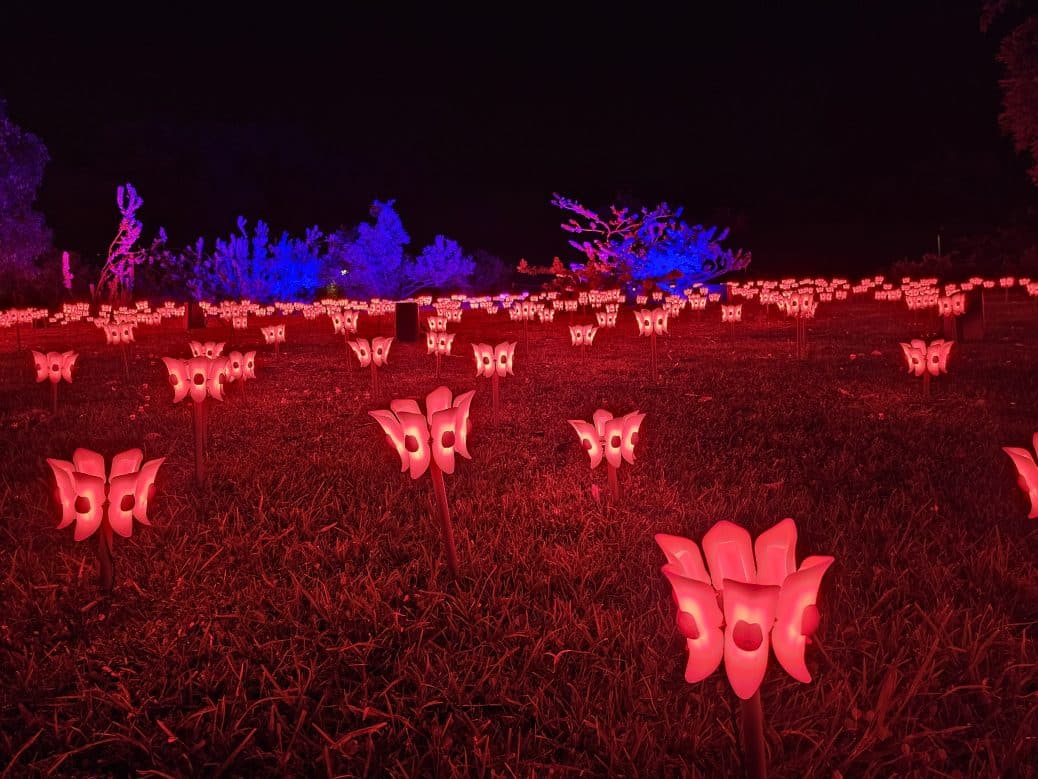 Lightscape, Kings Park