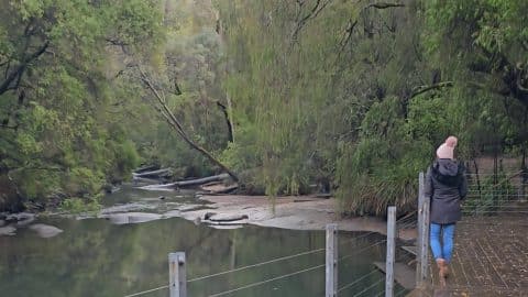 Wellington National Park