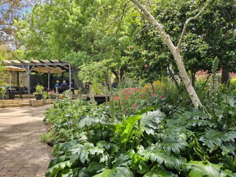 The Berry Farm Margaret River