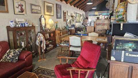 The Ragged Robin Augusta