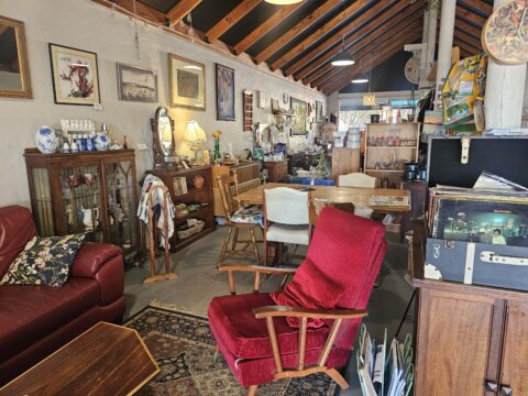 The Ragged Robin Augusta