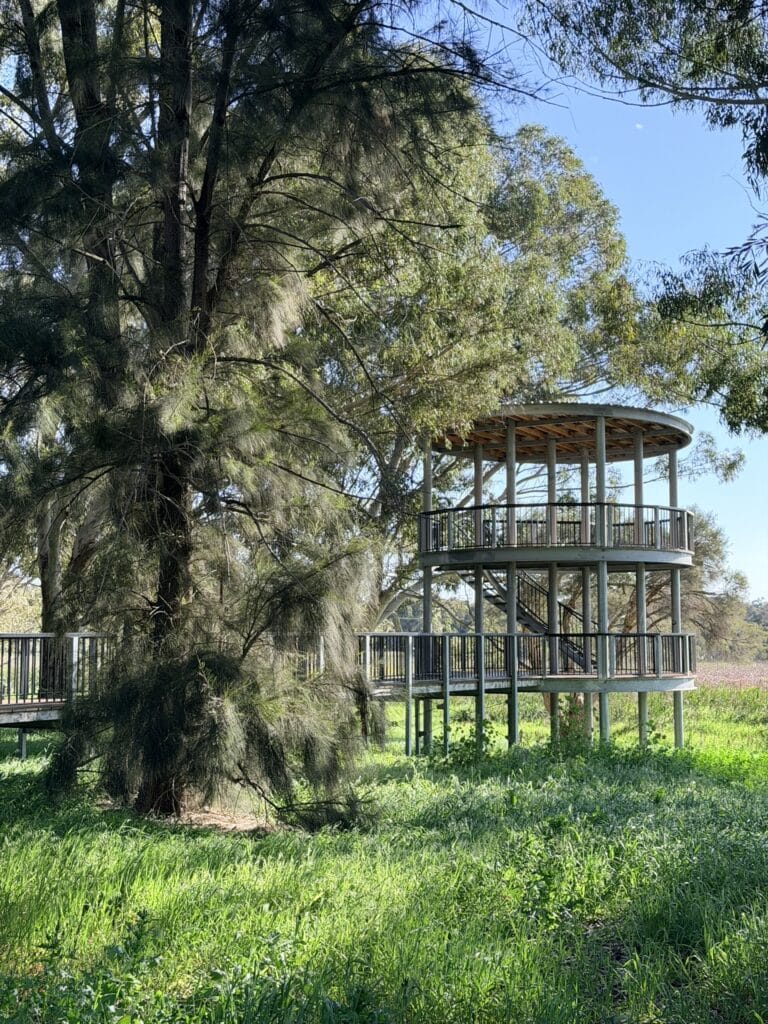 Studmaster Viewing Platform Joondalup 15 1 768x1024