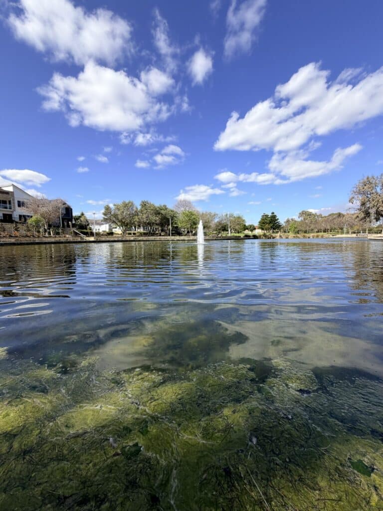 sir james mccusker park